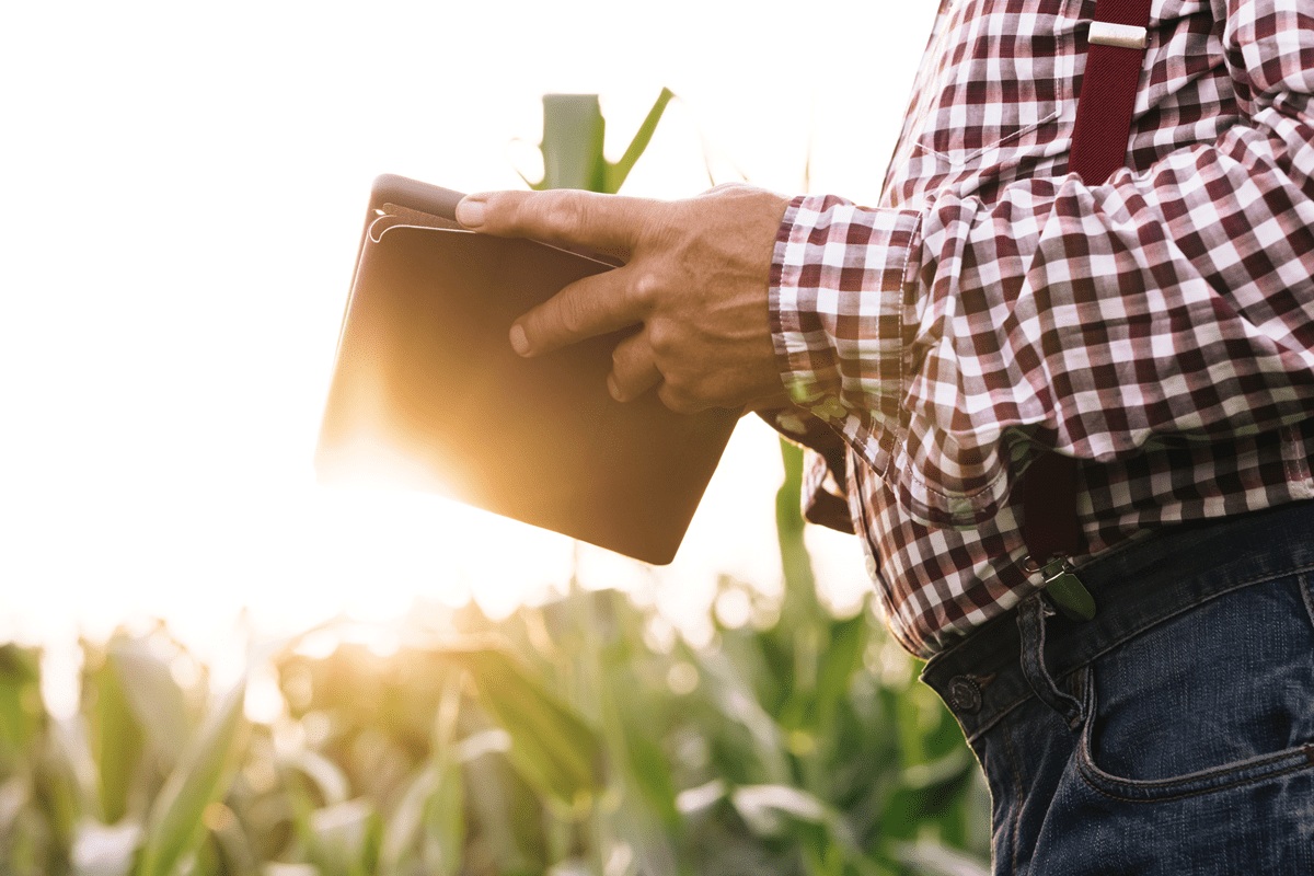 como informar no LCDPR o financiamento rural - agronota