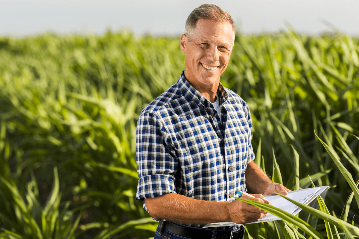 Multa por atraso na entrega do LCDPR - agronota