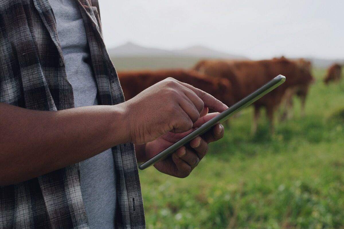 Nota Fiscal de Devolução para Produtor Rural